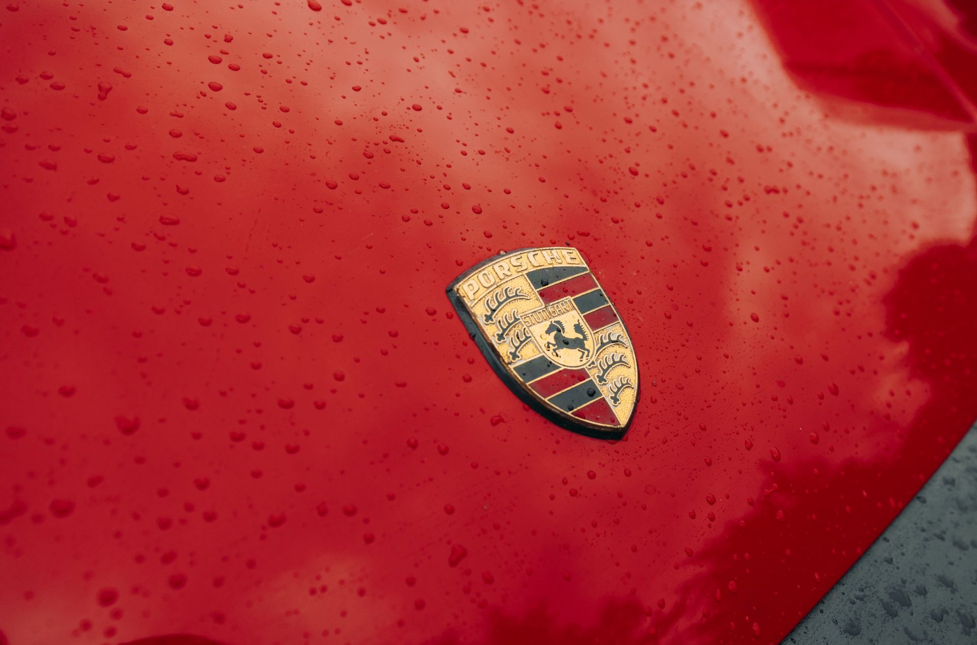 Porsche · Wappen im Regen