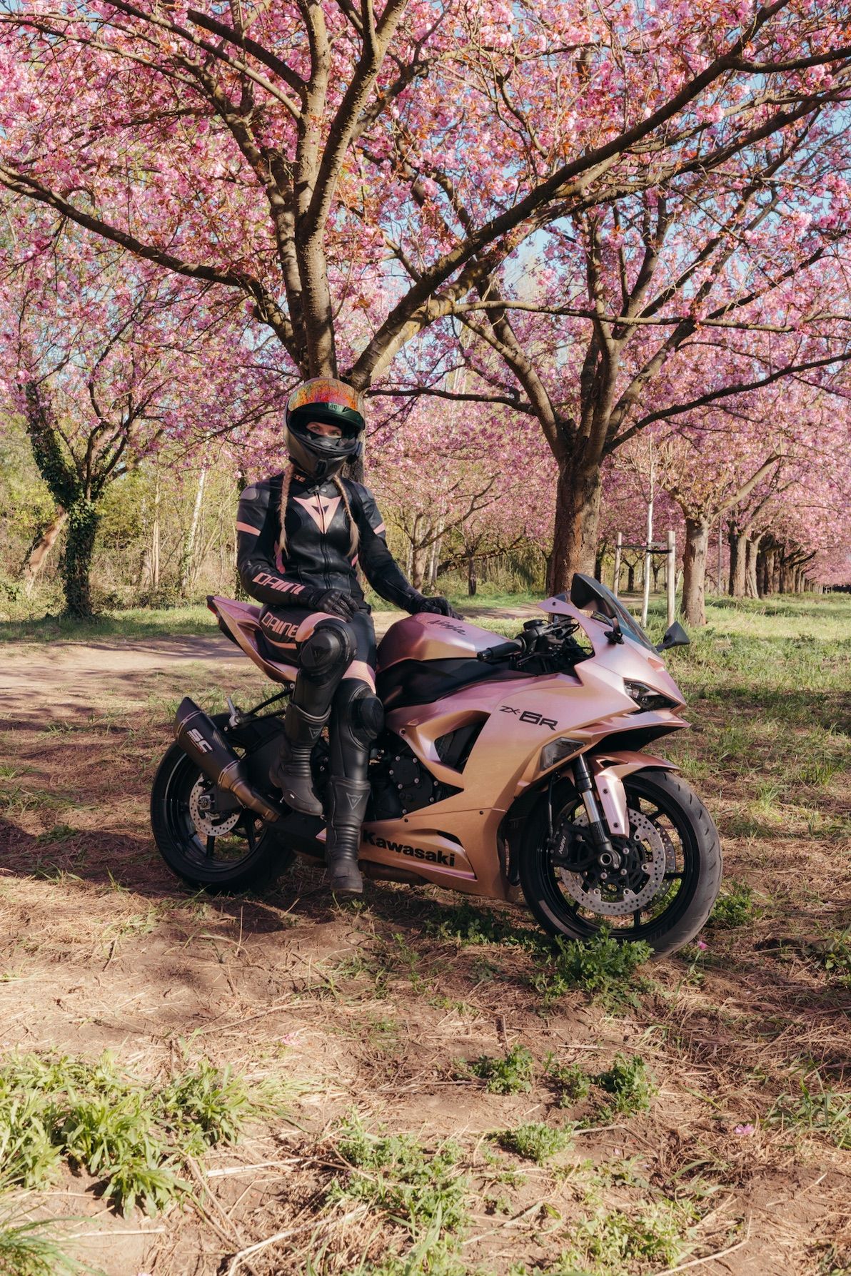 Riderin auf roségoldener Kawasaki ZX-6R unter Kirschblüten – Motorradfotografie