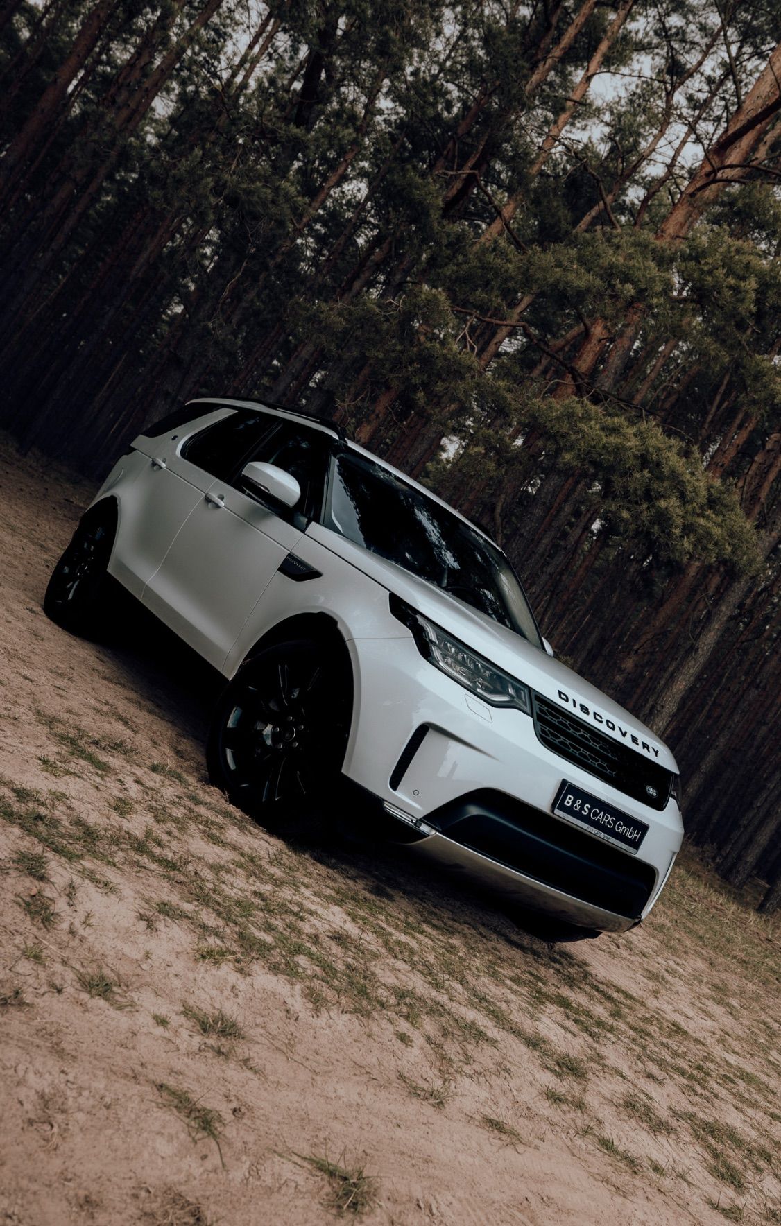 Land Rover Discovery weiß Wald – Automobilfotografie